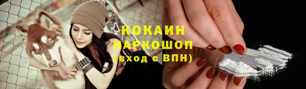прущие грибы Нязепетровск