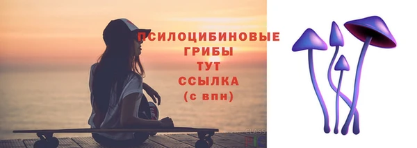 прущая мука Няндома