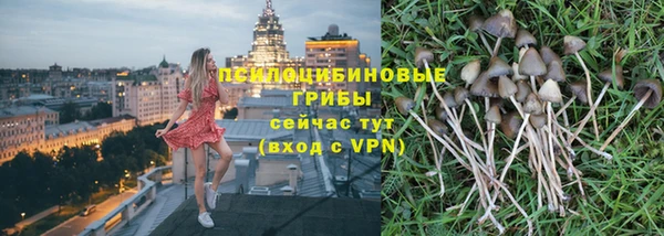 прущие грибы Нязепетровск